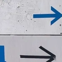 障害者雇用の未来