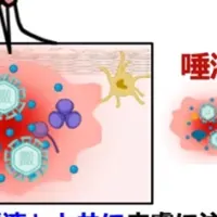 蚊の唾液とウイルス