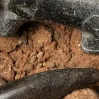 トルコの新発見