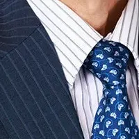 木谷氏が顧問就任