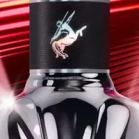 レミーマルタンXOナイト