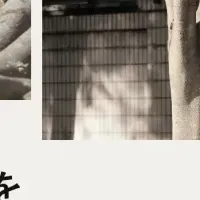 新サービス「TREE BATON」