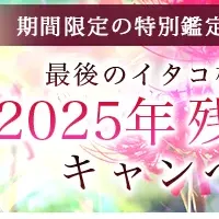 松田広子の運勢