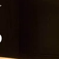 特定技能人材の未来