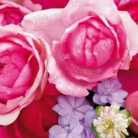 花時間カレンダー