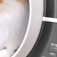 自動猫トイレ登場