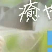 LOVOTと癒しのひと時