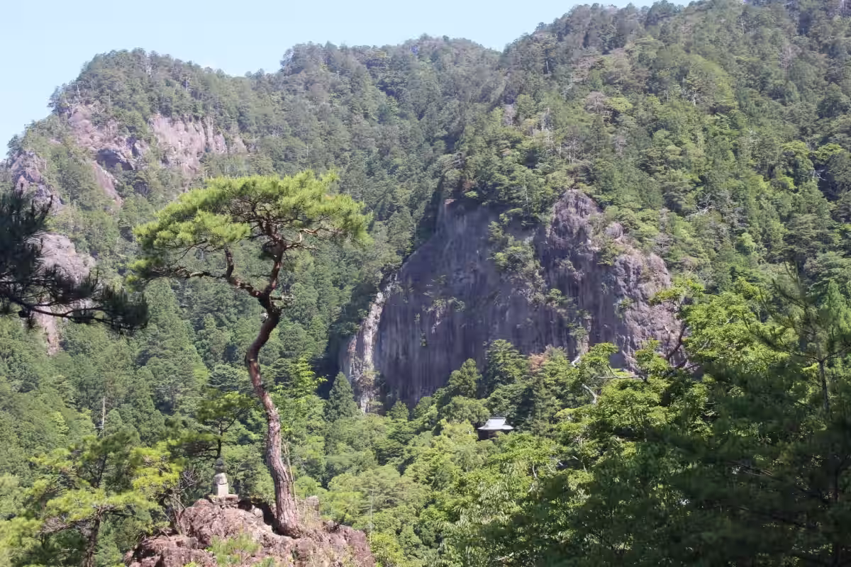 画像7