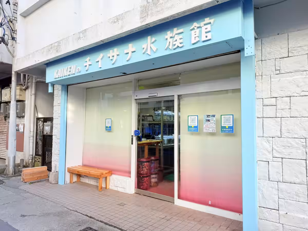 画像7
