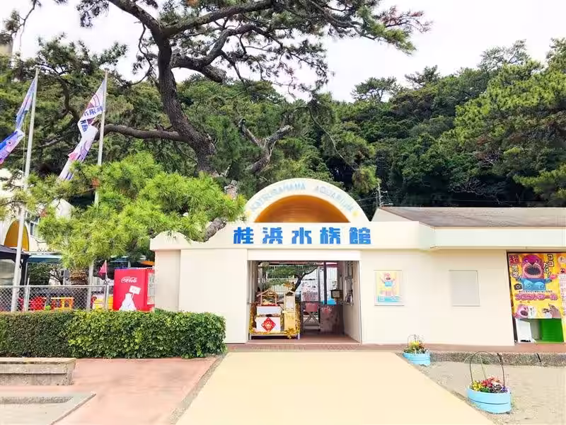 画像8