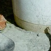 地球のため わたしのため