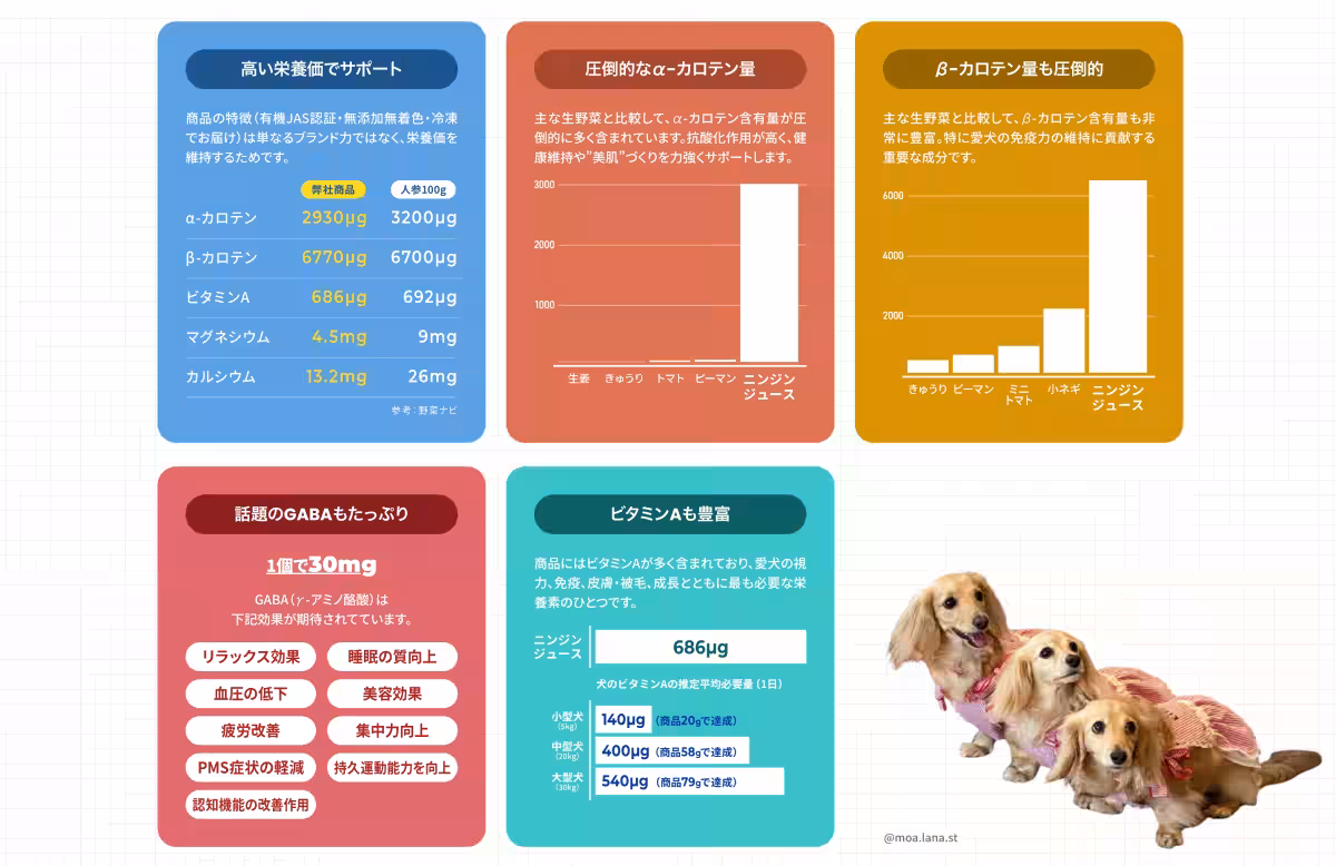 画像18