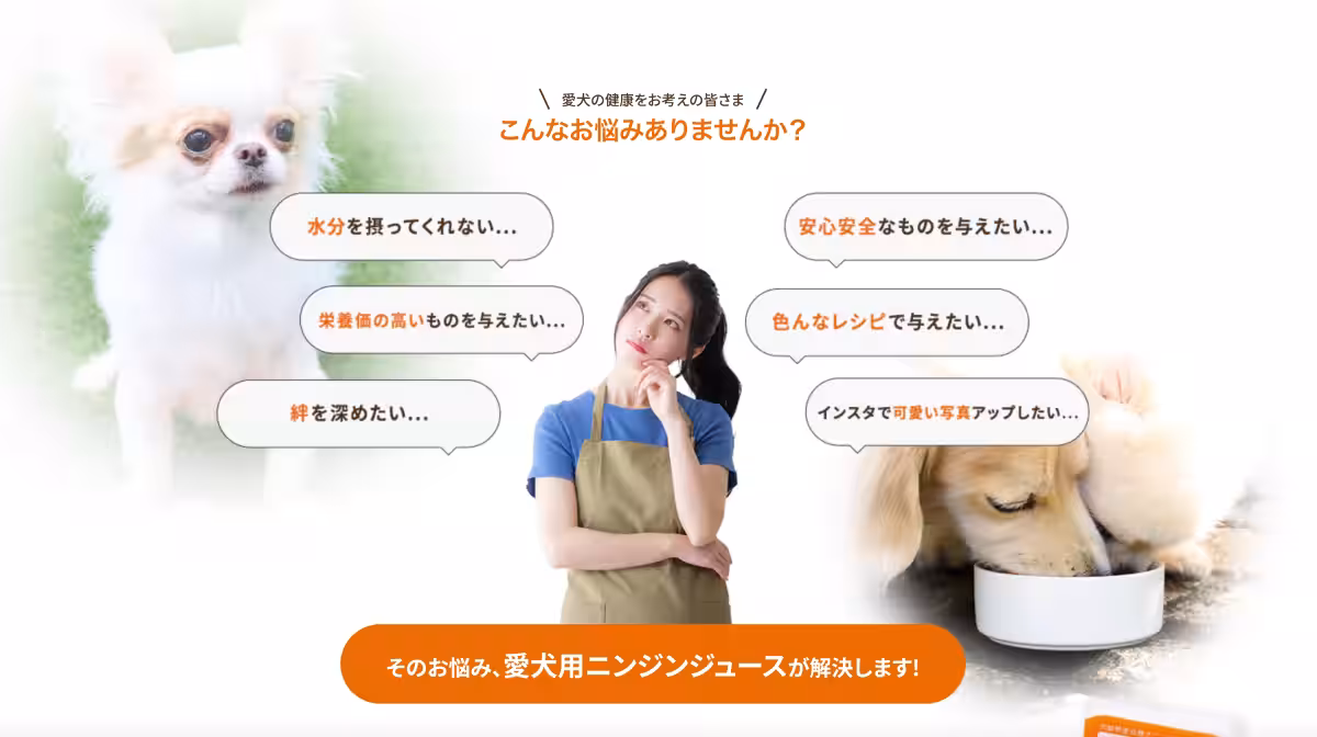 画像17
