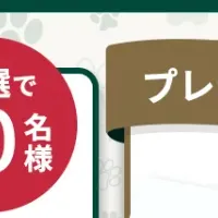 nosh DOGプレゼント情報