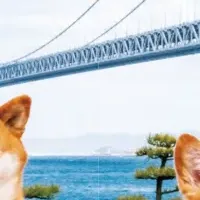 柴犬スティーブ白書、増刷決定