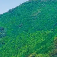 ビオトープ資格試験