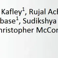 革新CADシステム「MEDA」