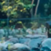 ひとり温泉宿デビュー