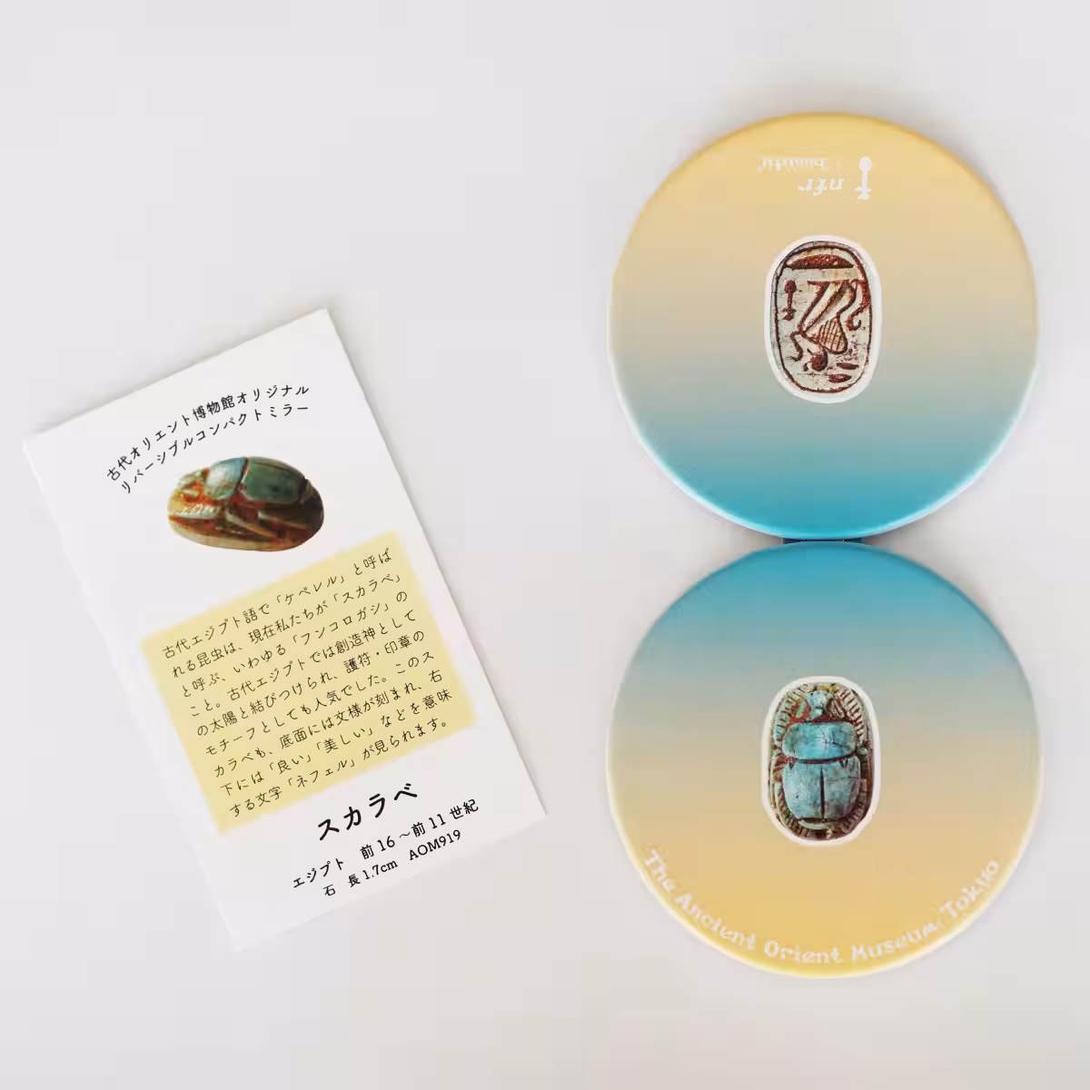 画像5