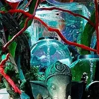 ひらかたパーク新水族館