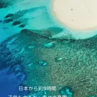 フィジーとエアトリの共同企画