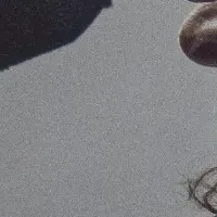 カー・ベアード来日ツアー