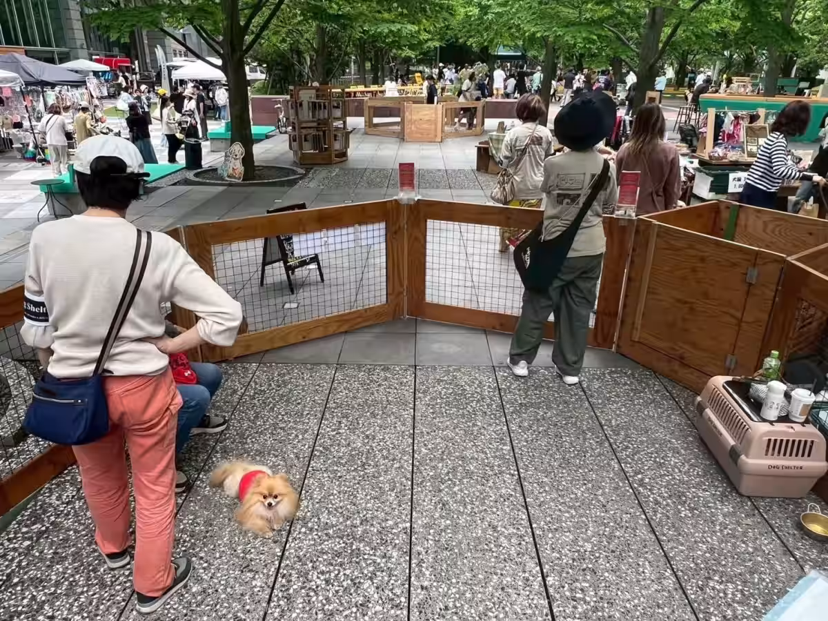 画像5