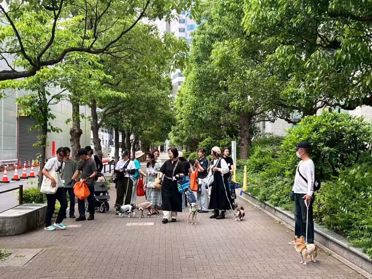 画像7