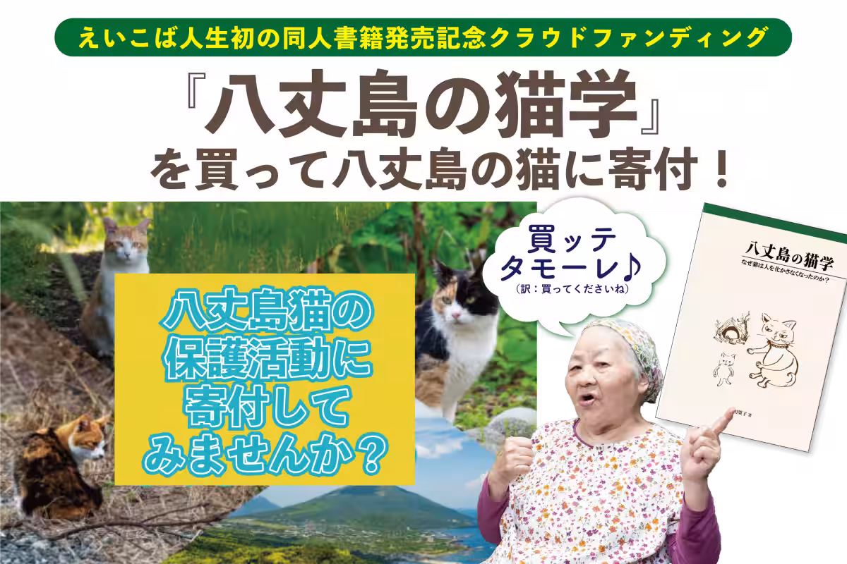 画像12