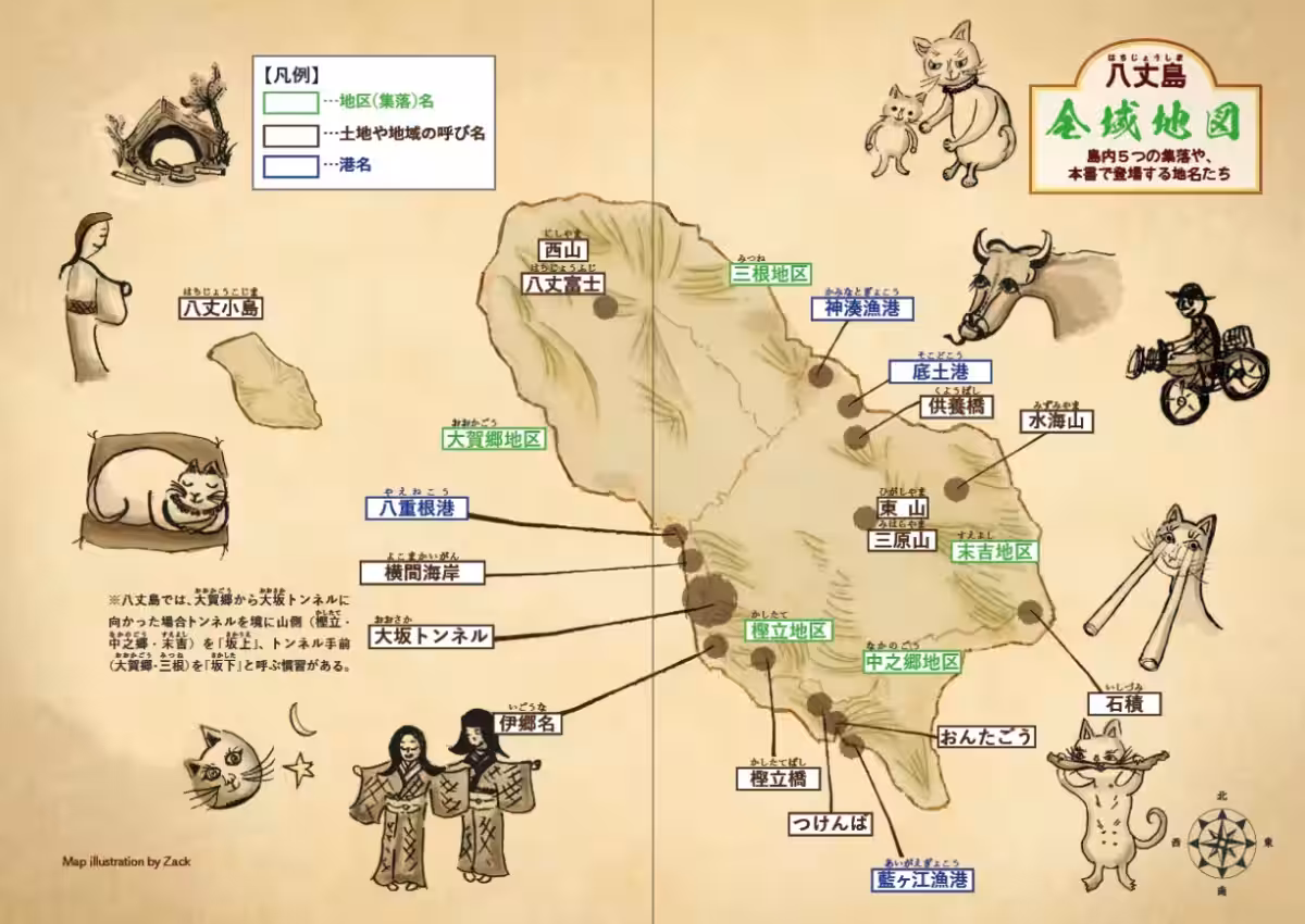 画像7