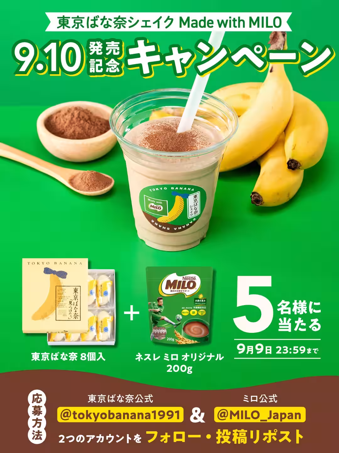 画像11