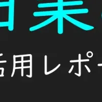 TikTok活用法公開