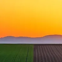 草の日フォトコンテスト