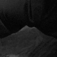 ポメラートとニュートン