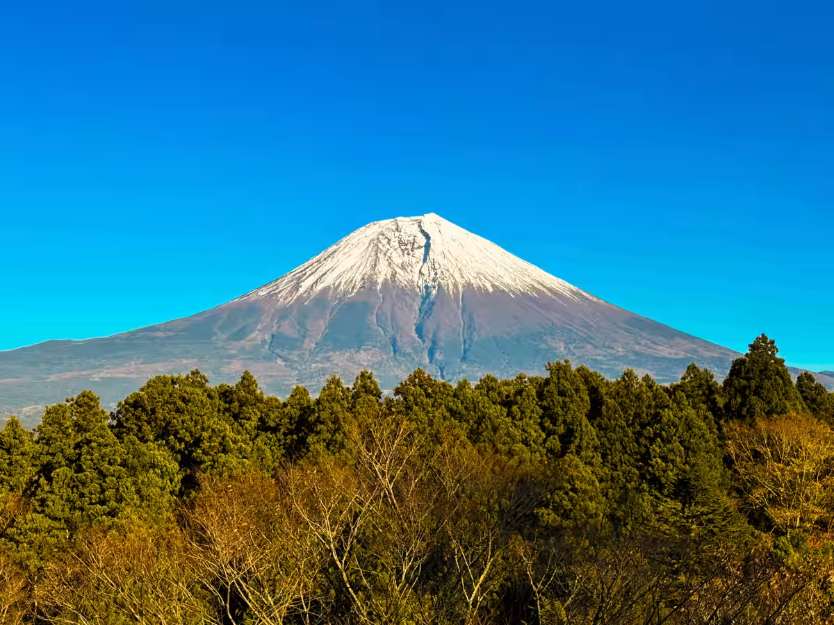 画像16