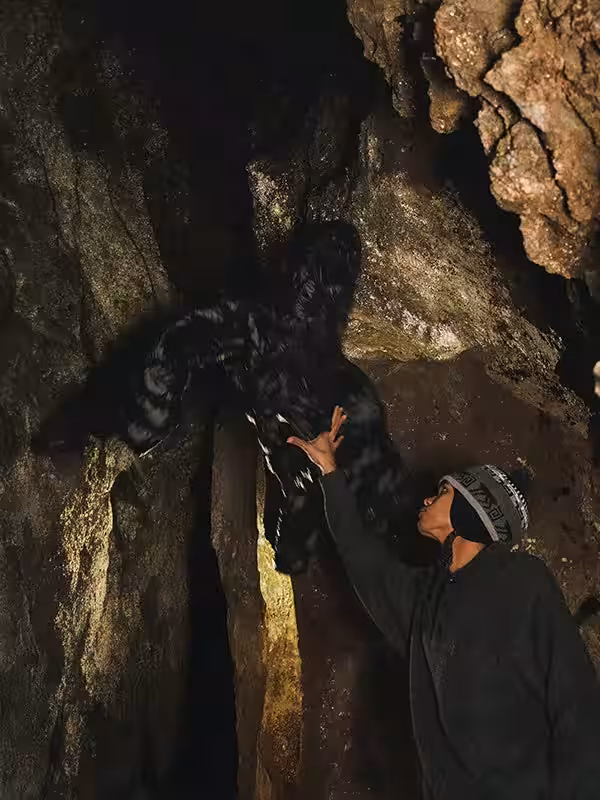 画像7