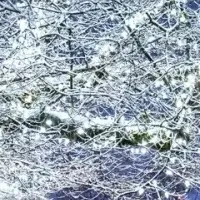 アメリカのホリデーイベント