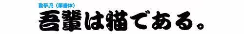 画像11