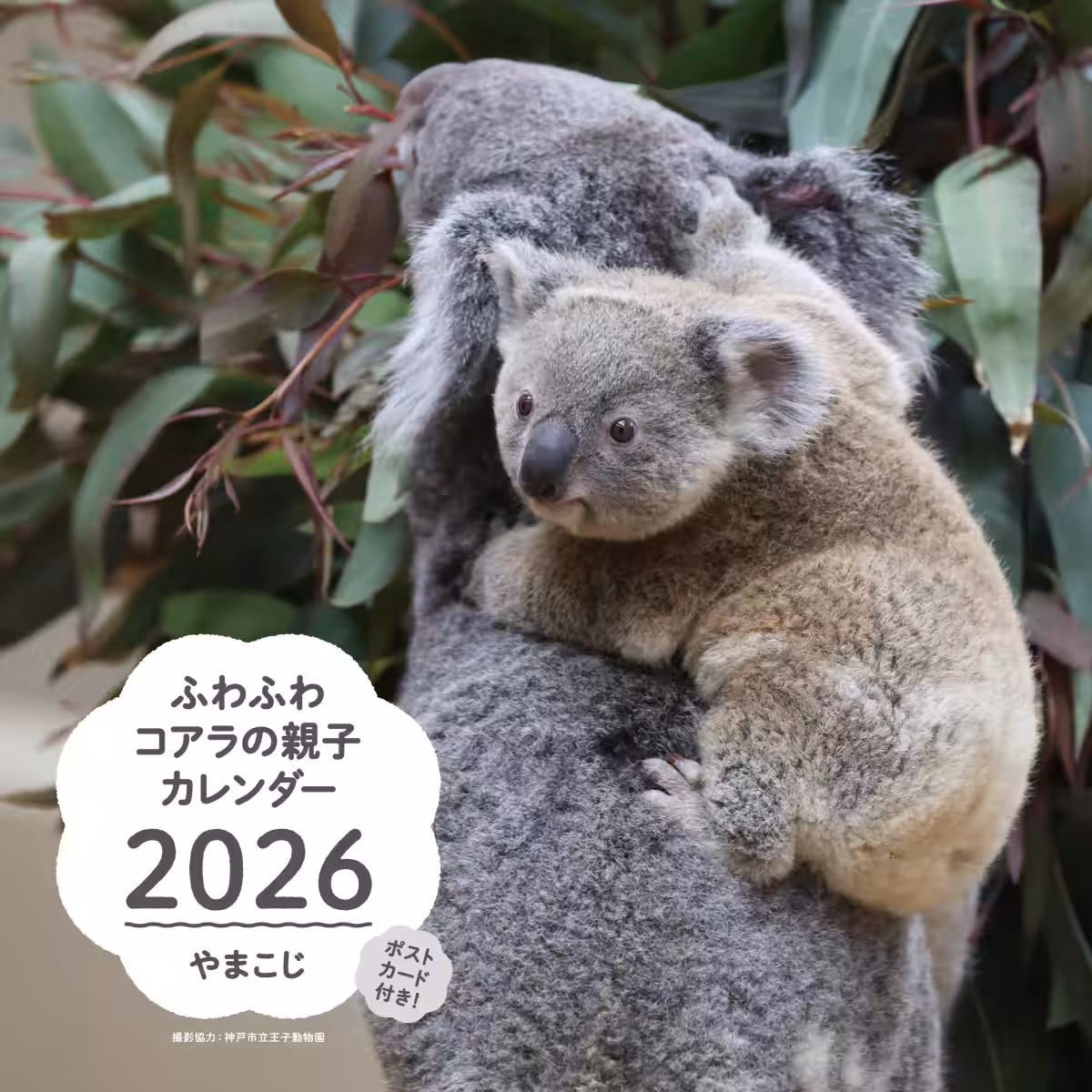 画像1