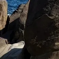 放射性廃棄物処分の新技術