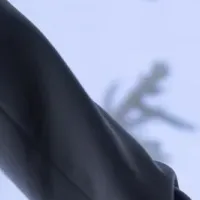 サウジアラビア館の受賞