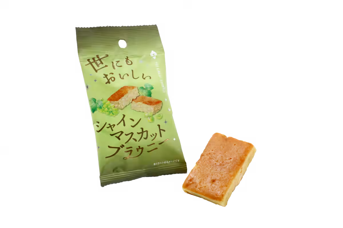 画像7