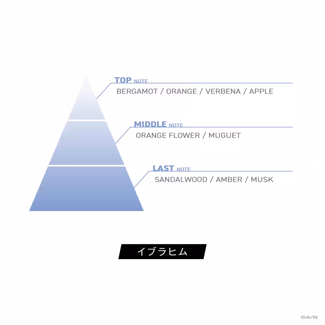 画像13