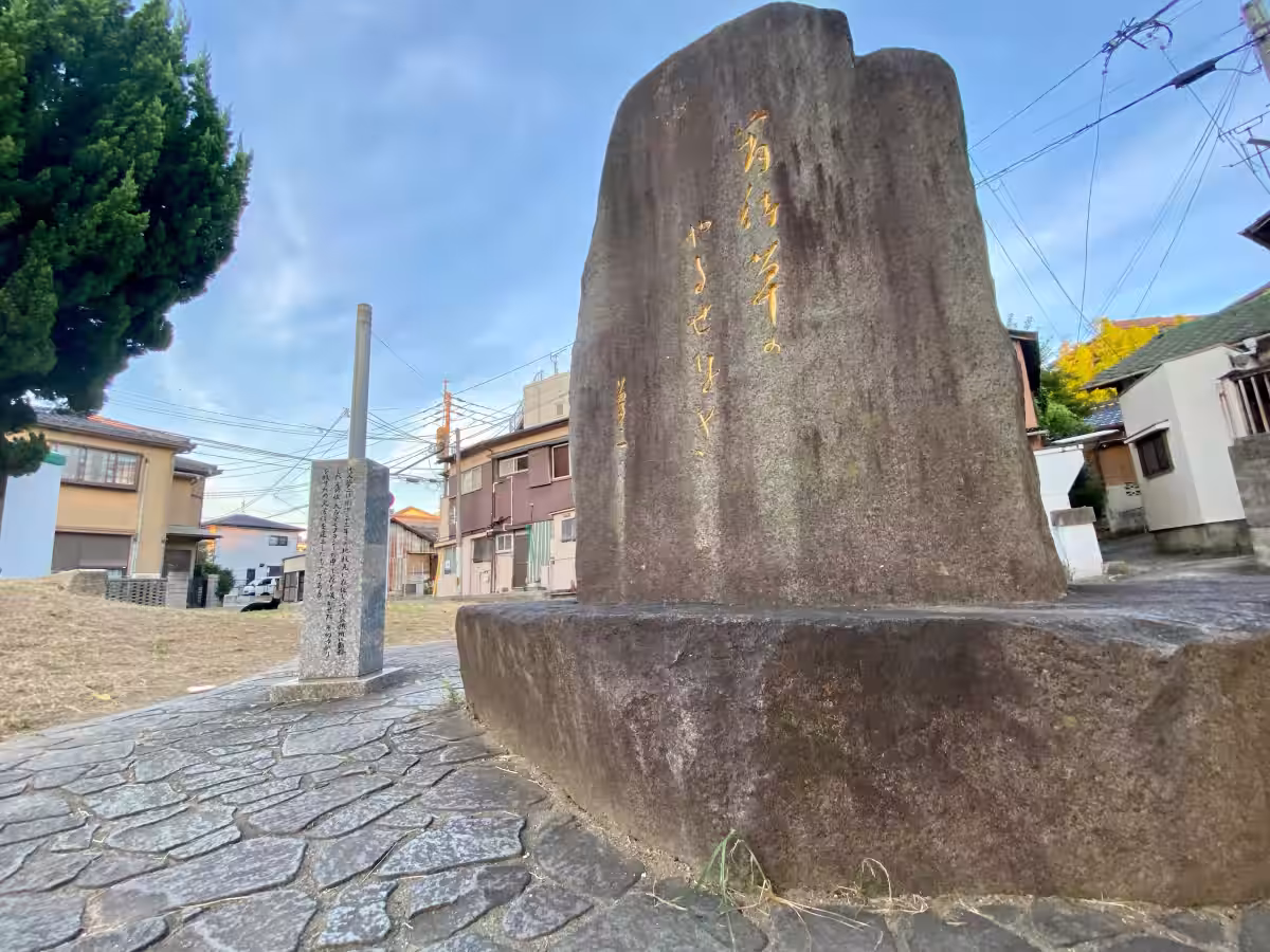 画像9