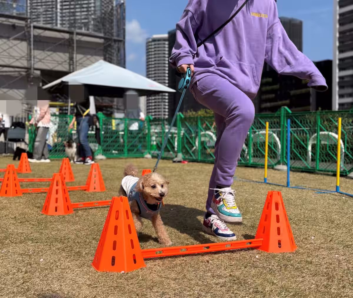 画像13
