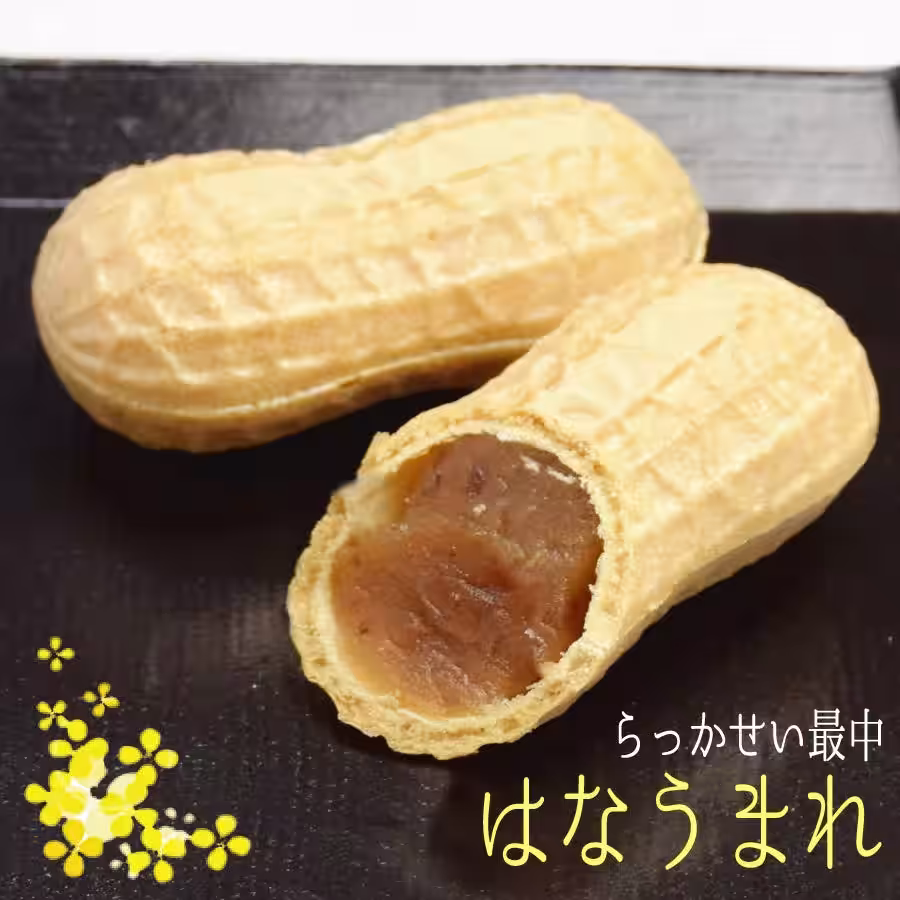 画像9