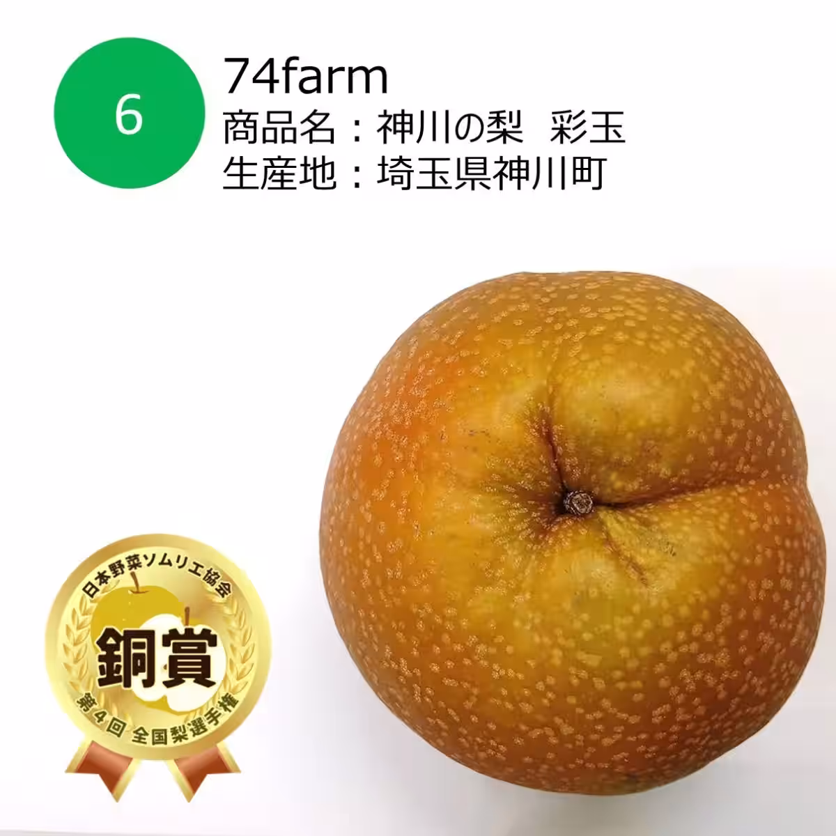 画像8
