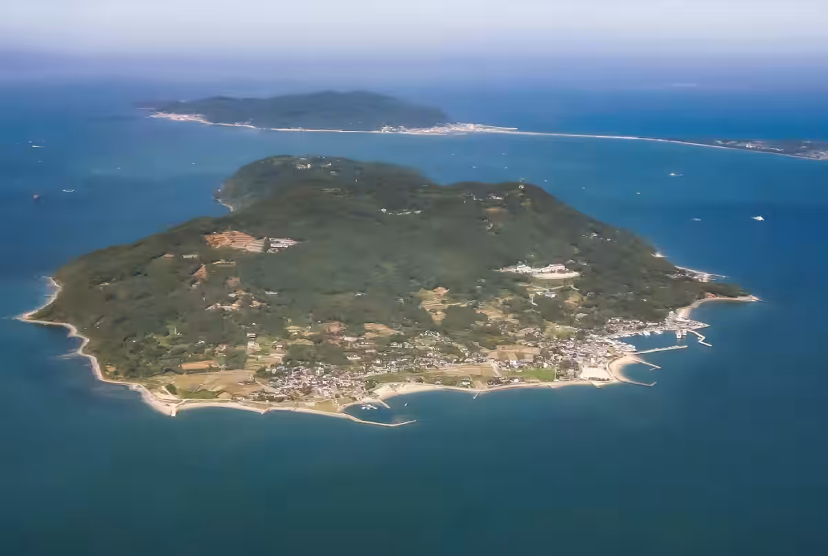 画像5