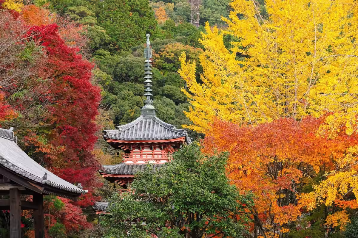 画像9