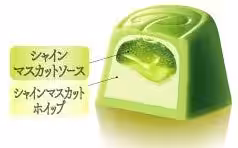 画像11